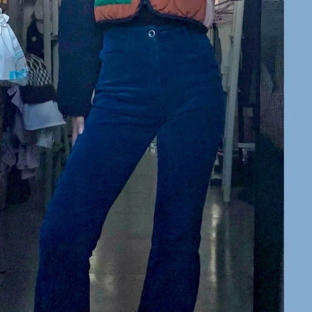 Aritzia Joey Pants